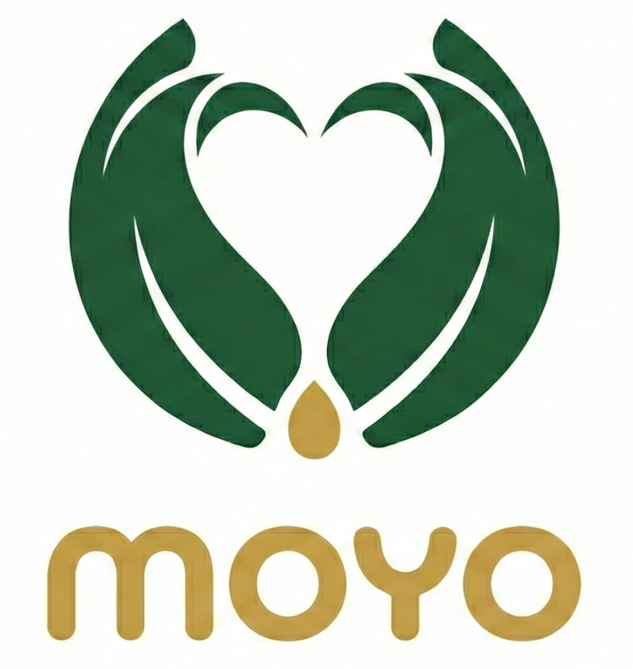 rdc.moyoafrique.com